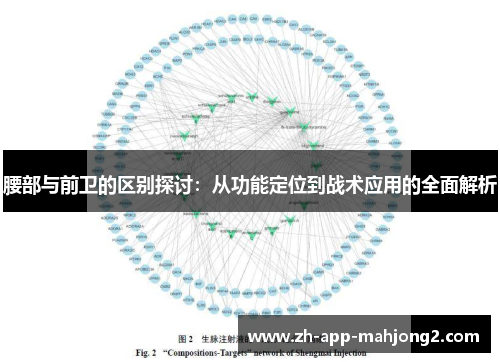 腰部与前卫的区别探讨：从功能定位到战术应用的全面解析