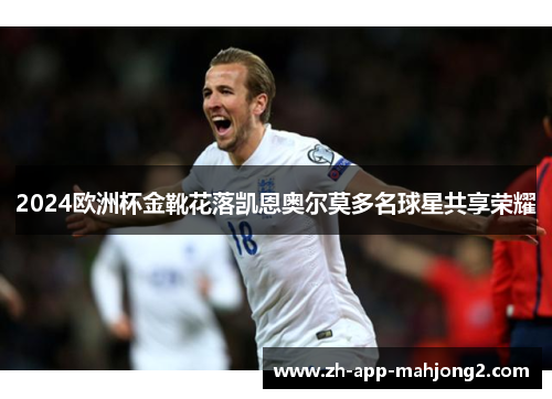 2024欧洲杯金靴花落凯恩奥尔莫多名球星共享荣耀